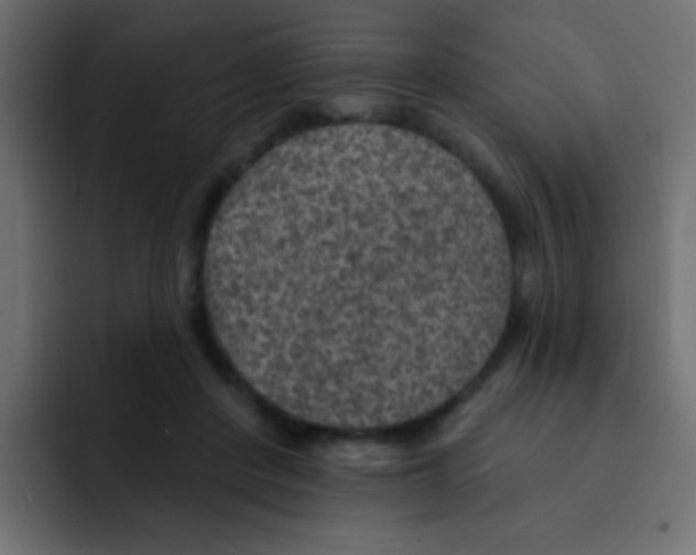 X0000092030408200710041105