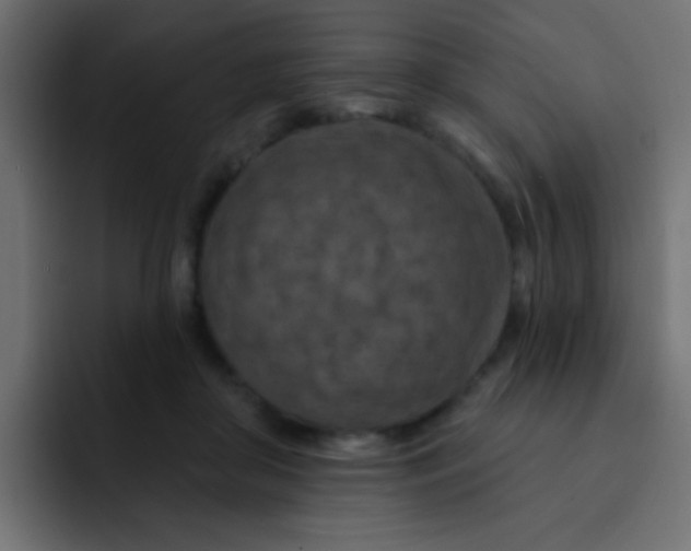 X0000092030410200710041105