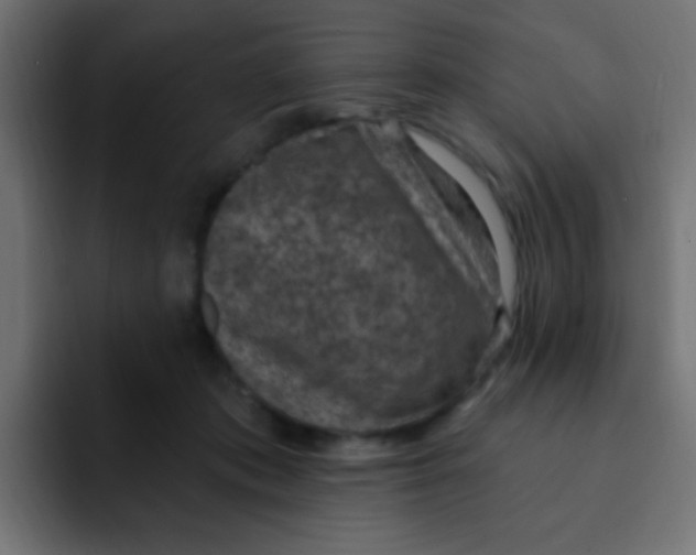 X0000092030413200710041105