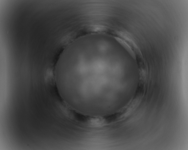 X0000092030415200710041105