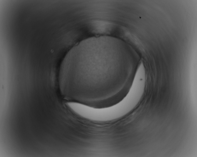 X0000092030416200710041105