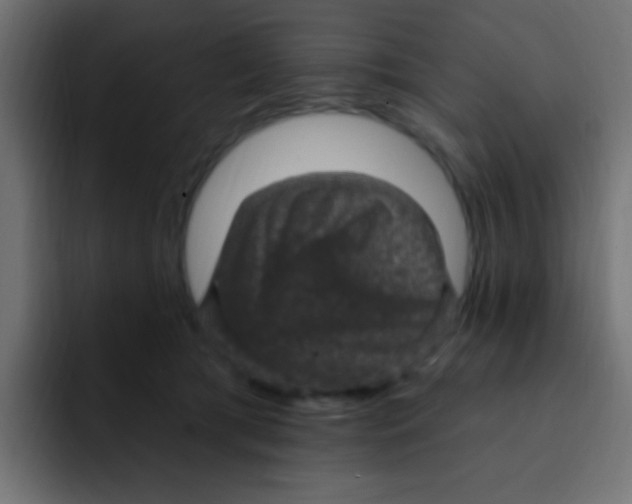 X0000092030417200710041105