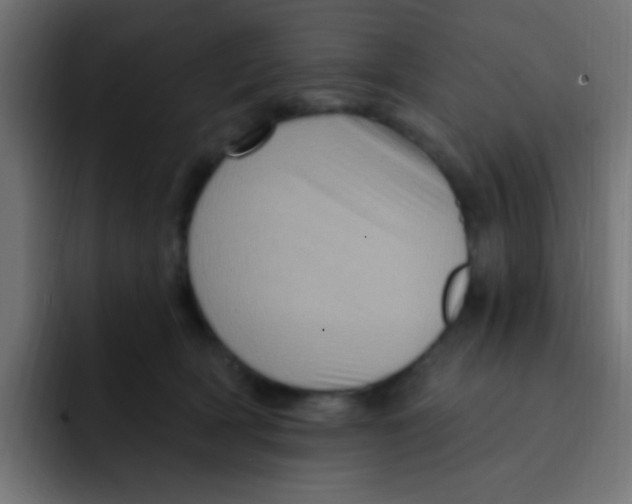 X0000092030418200710041105