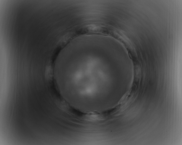 X0000092030419200710041105