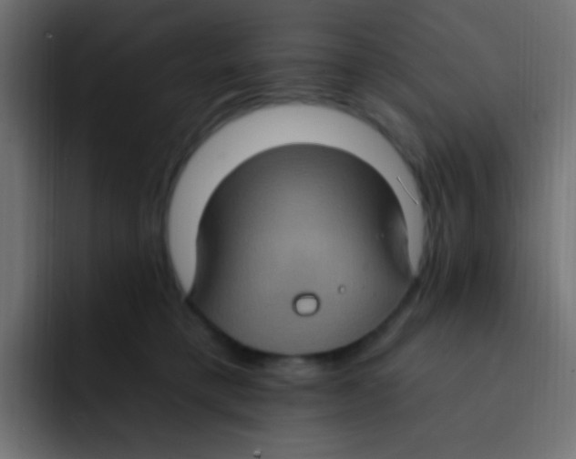 X0000092030421200710041105