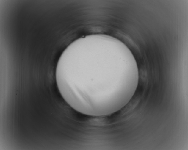 X0000092030422200710041105