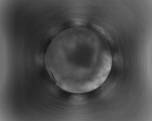 X0000092030423200710041105