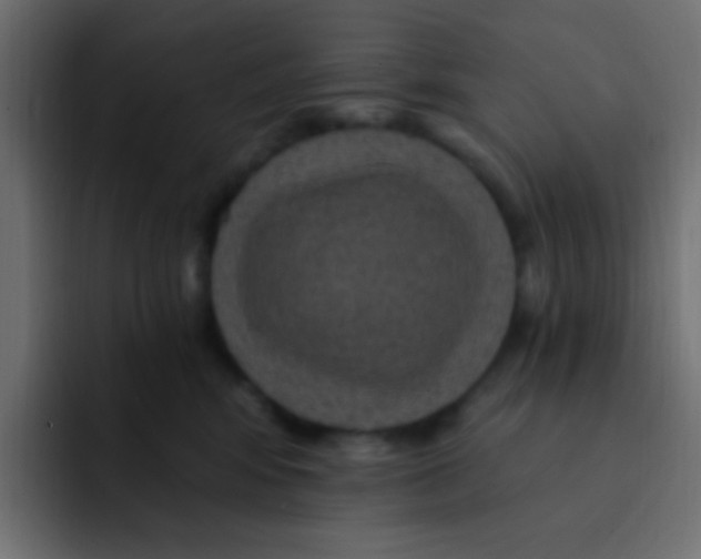 X0000092030424200710041105