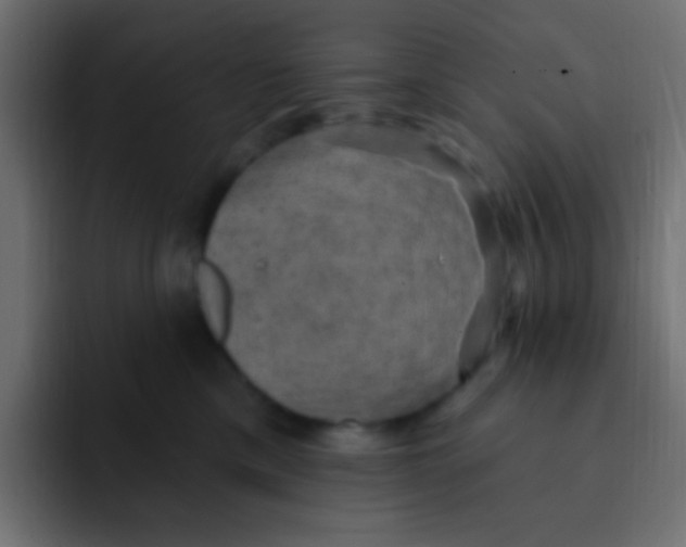 X0000092030425200710041105