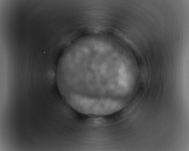 X0000092030427200710041105