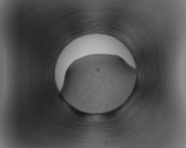 X0000092030428200710041105