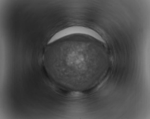 X0000092030429200710041105