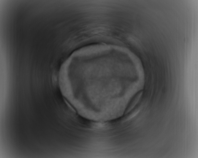 X0000092030432200710041105