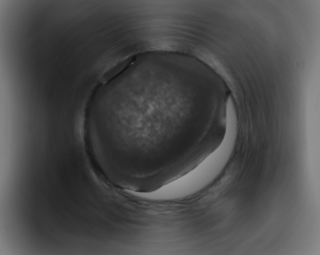 X0000092030434200710041104