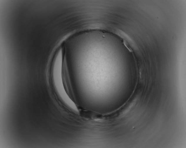 X0000092030436200710041104