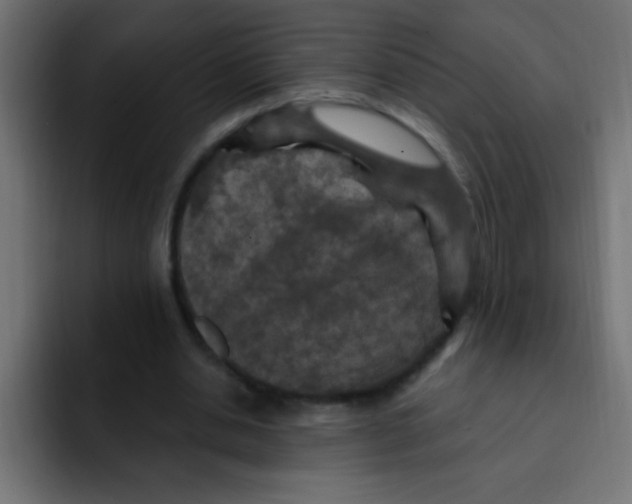 X0000092030438200710041104