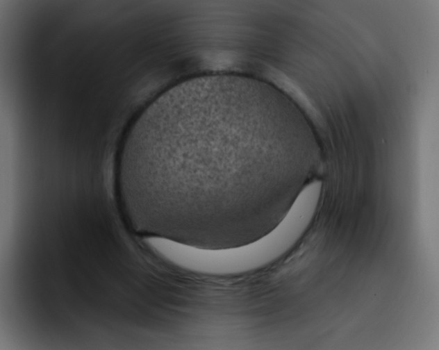 X0000092030442200710041104