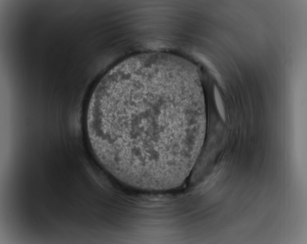 X0000092030443200710041104