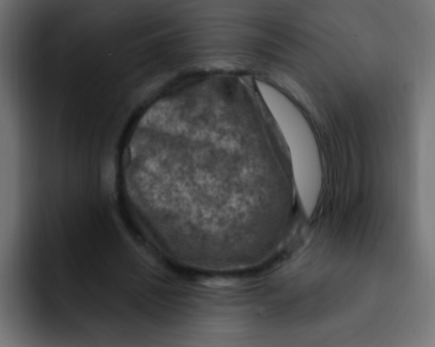 X0000092030444200710041104