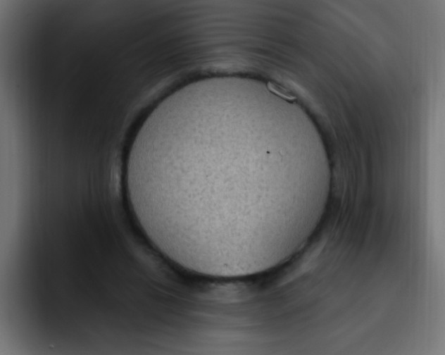 X0000092030446200710041104