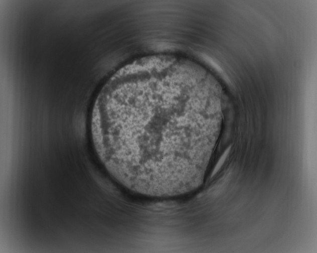 X0000092030447200710041104