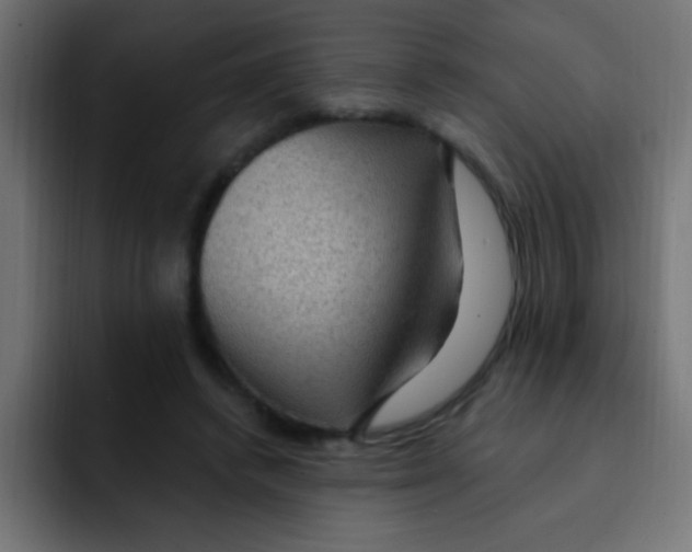 X0000092030448200710041104