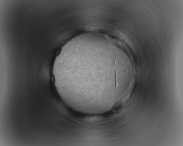 X0000092030452200710041104