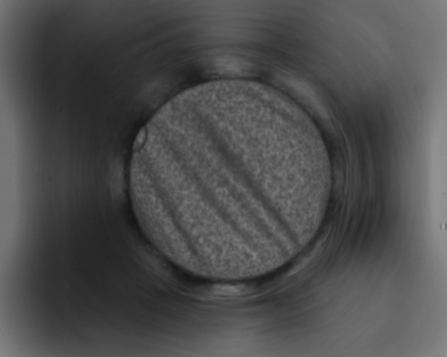 X0000092030457200710041104