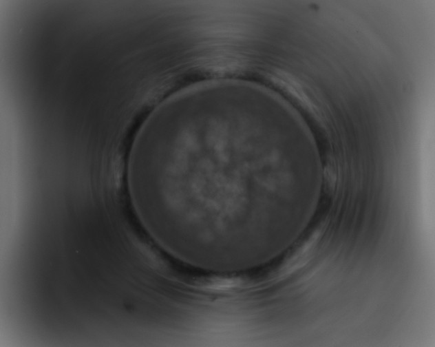 X0000092030458200710041104