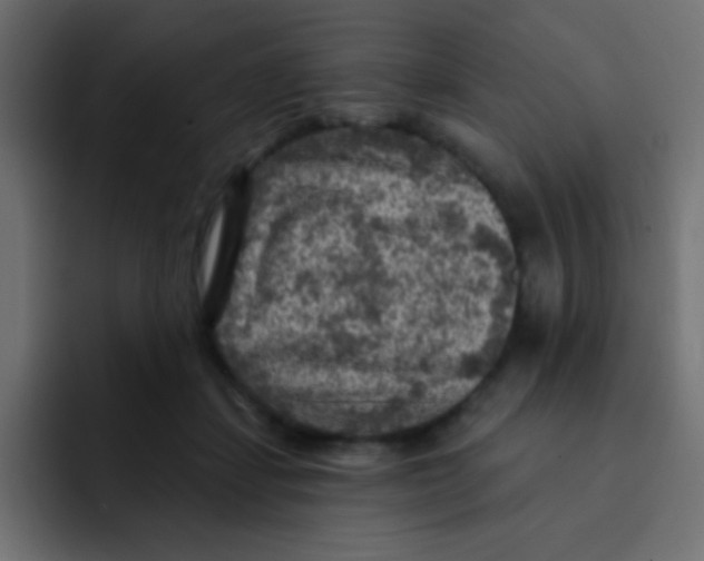 X0000092030459200710041104