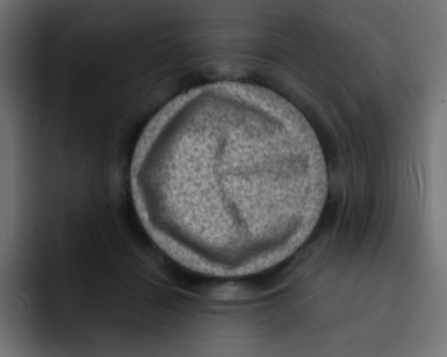 X0000092030460200710041104