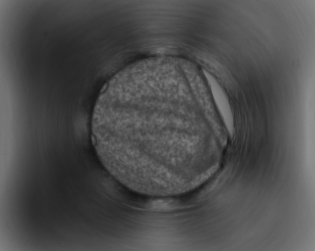 X0000092030461200710041104