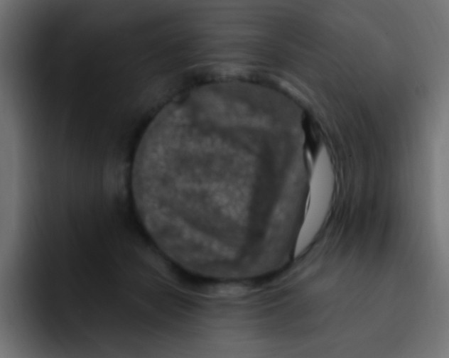 X0000092030462200710041104