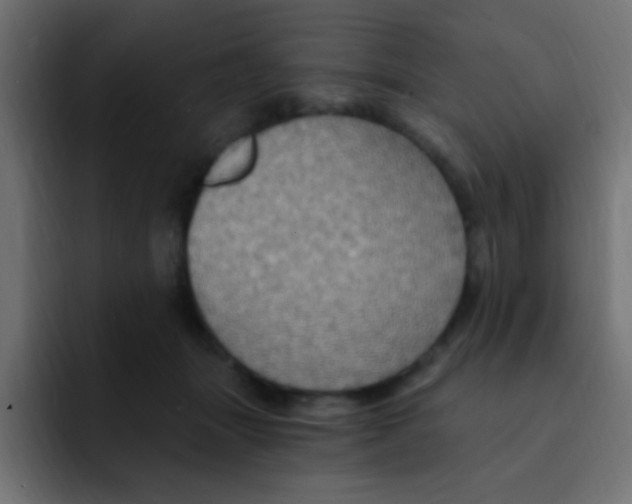 X0000092030463200710041104