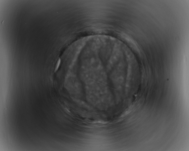 X0000092030465200710041104