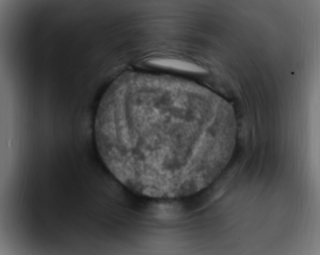 X0000092030466200710041104