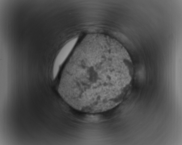 X0000092030469200710041104