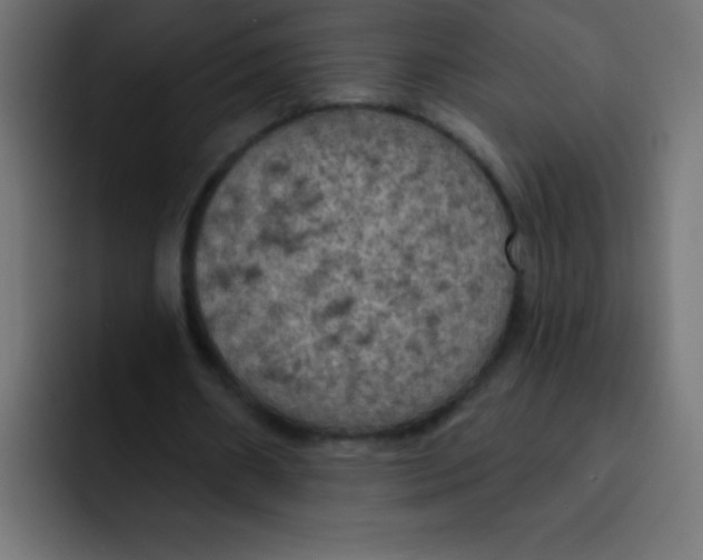 X0000092030482200710041104