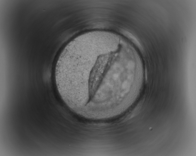 X0000092030483200710041104