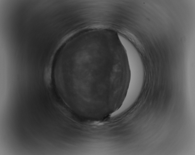 X0000092030484200710041104