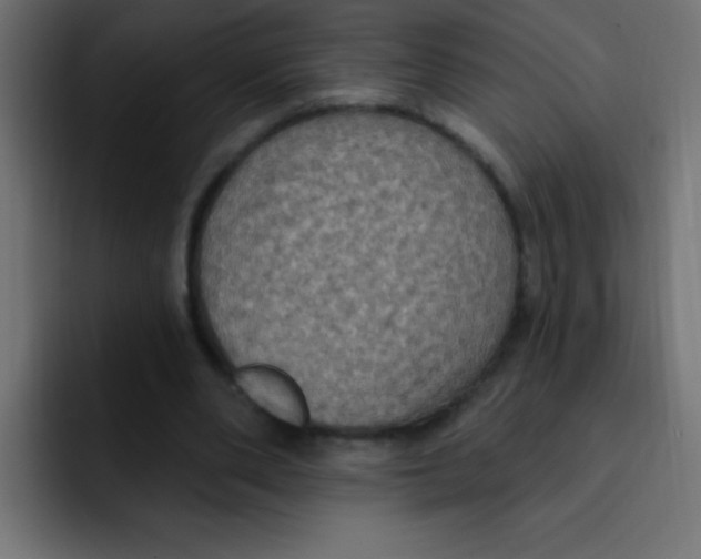 X0000092030486200710041104