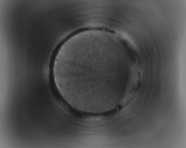 X0000092030488200710041104