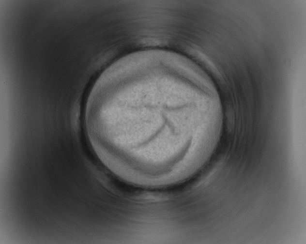 X0000092030490200710041104