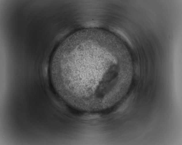 X0000092030491200710041104