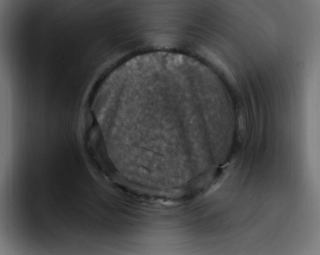 X0000092030492200710041104