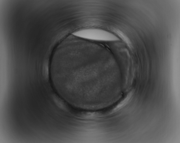 X0000092030493200710041104