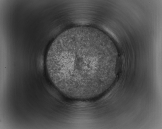 X0000092030494200710041104