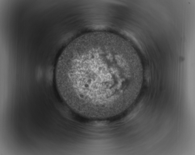 X0000092030495200710041104