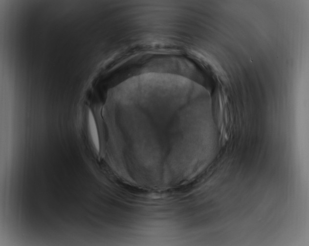 X0000092030496200710041104