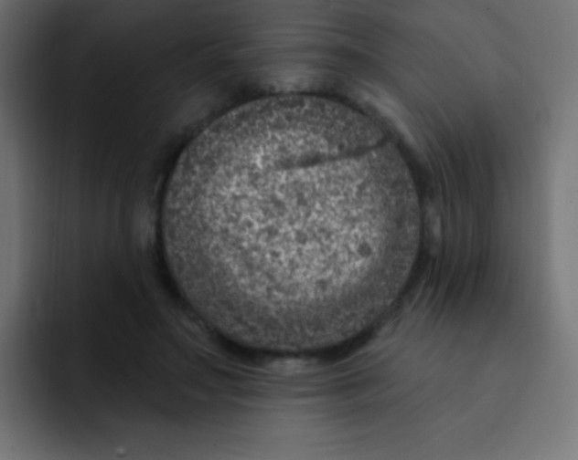 X0000092030499200710041104